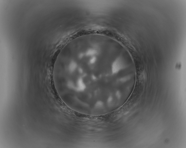 X0000091361397200708171514