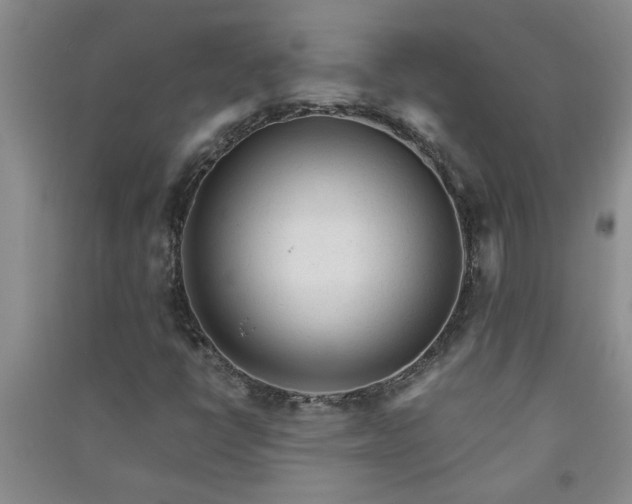 X0000091361398200708171514