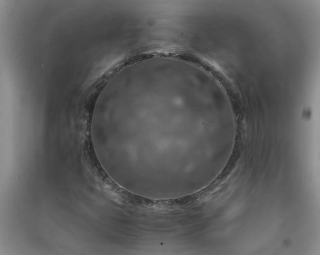 X0000091361399200708171514