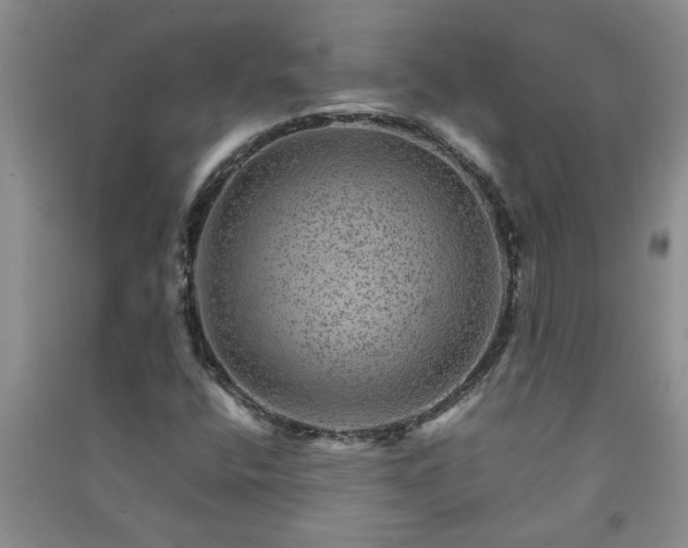X0000091361400200708171514