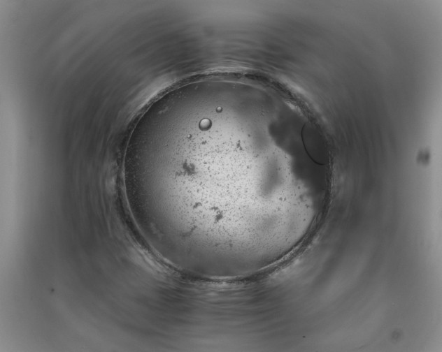 X0000091361401200708171514