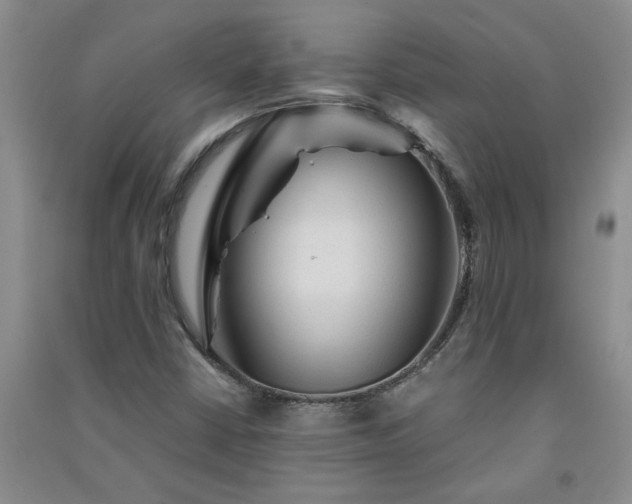X0000091361402200708171514