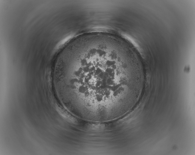 X0000091361403200708171514