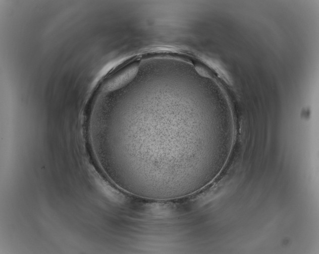 X0000091361404200708171514