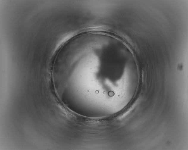 X0000091361405200708171514