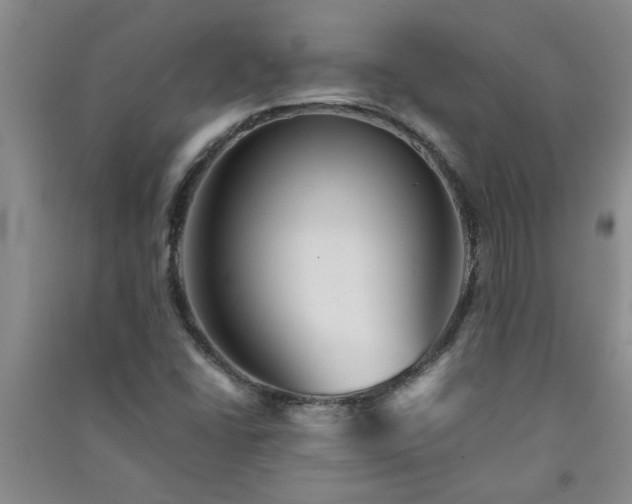 X0000091361406200708171514