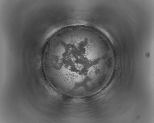 X0000091361407200708171514