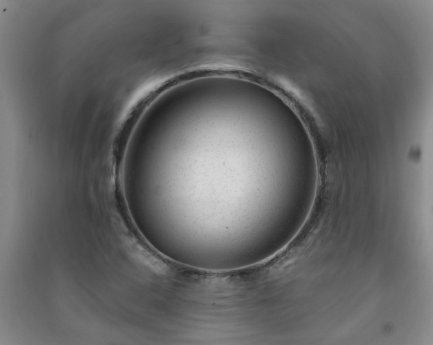 X0000091361408200708171514