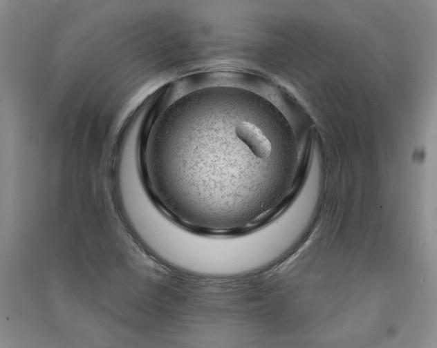 X0000091361410200708171514