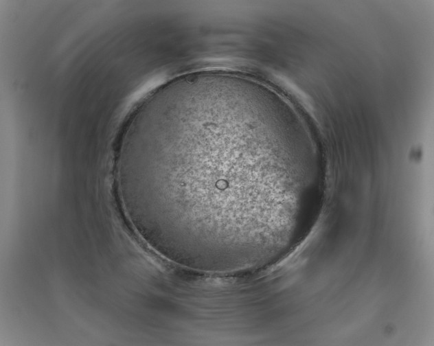 X0000091361411200708171514