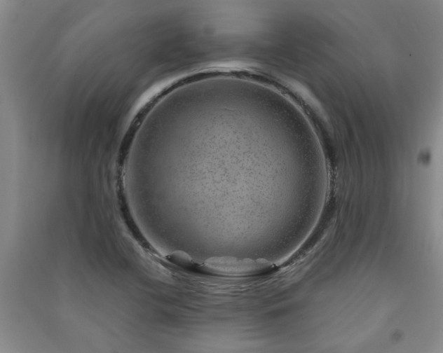 X0000091361412200708171514
