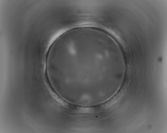 X0000091361413200708171514