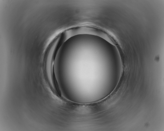 X0000091361414200708171514