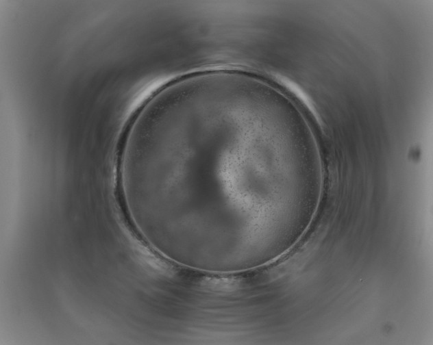 X0000091361415200708171514