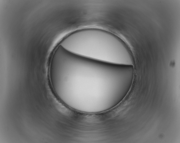 X0000091361416200708171514