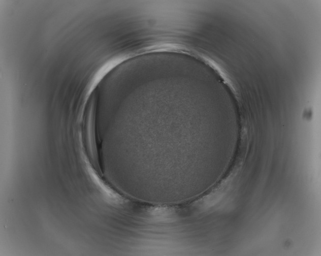 X0000091361418200708171514
