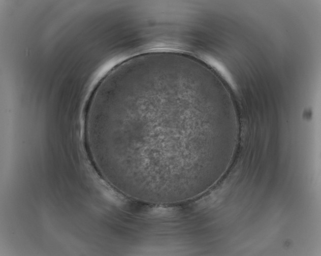 X0000091361419200708171514