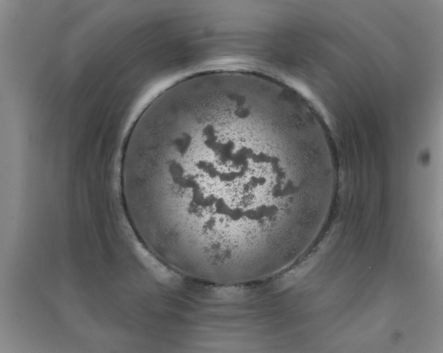 X0000091361421200708171514