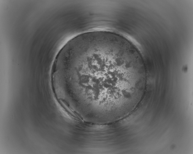 X0000091361423200708171515
