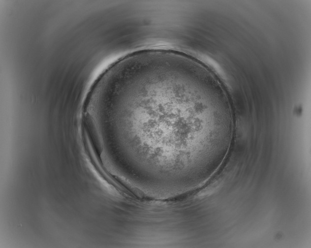 X0000091361424200708171515