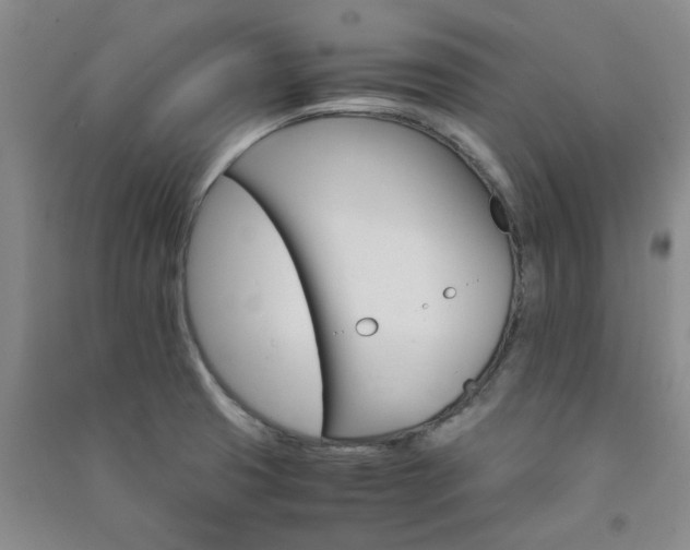 X0000091361425200708171515