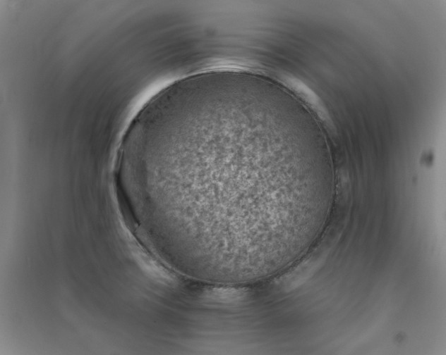 X0000091361427200708171515