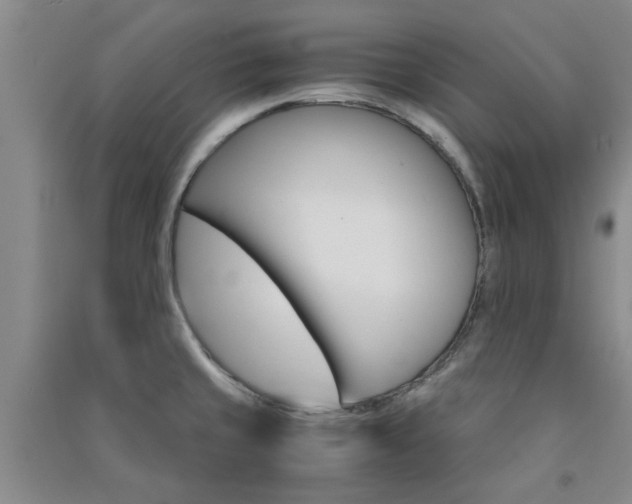 X0000091361429200708171515