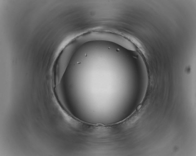 X0000091361430200708171515