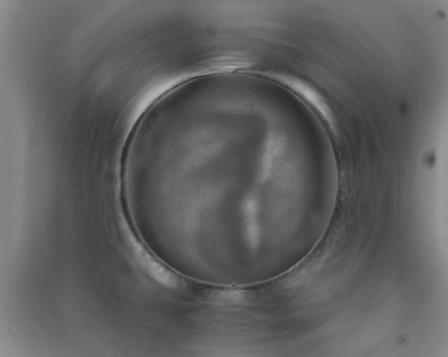 X0000091361431200708171515