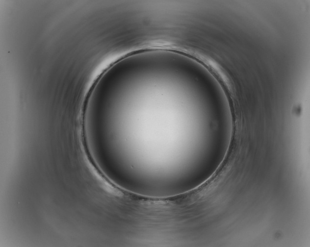 X0000091361432200708171515