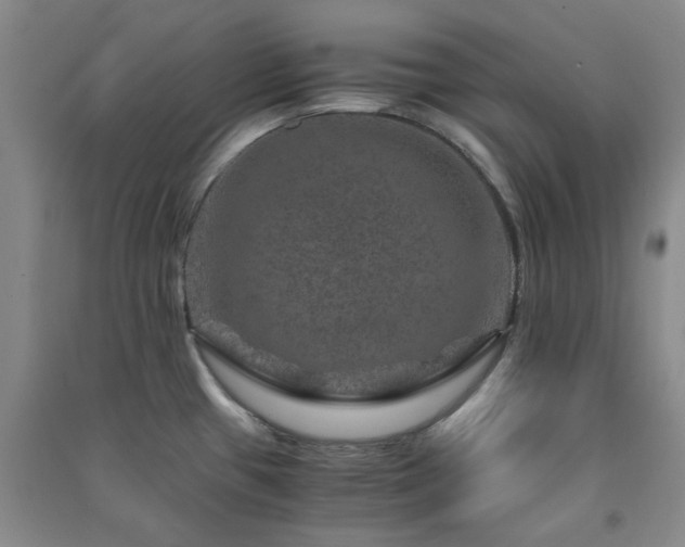 X0000091361433200708171515