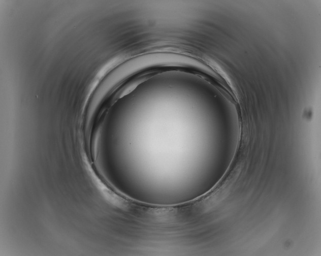 X0000091361434200708171515