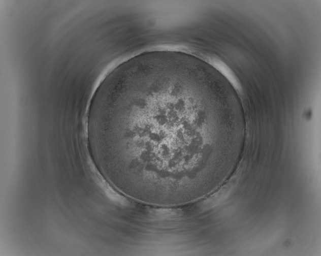 X0000091361436200708171515