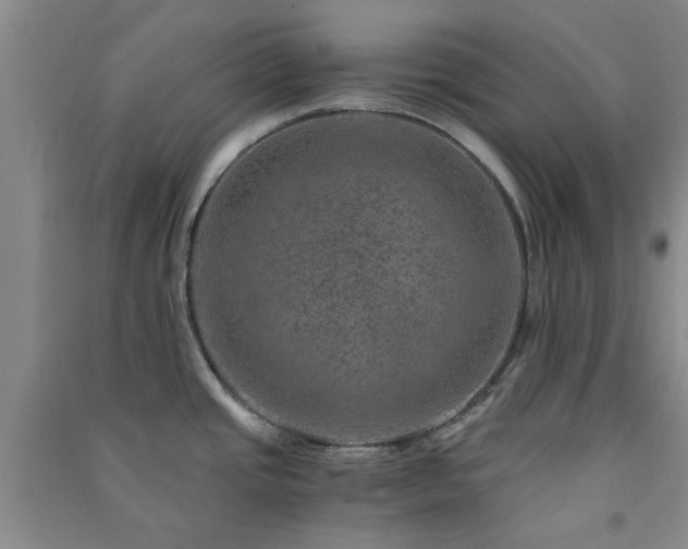 X0000091361437200708171515