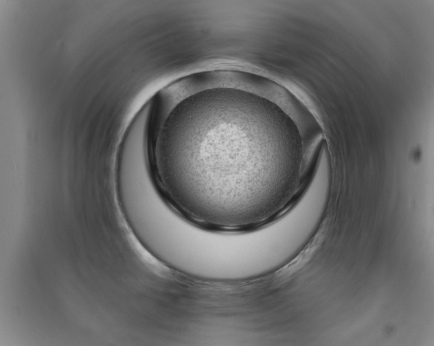 X0000091361438200708171515