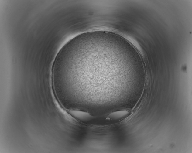 X0000091361439200708171515