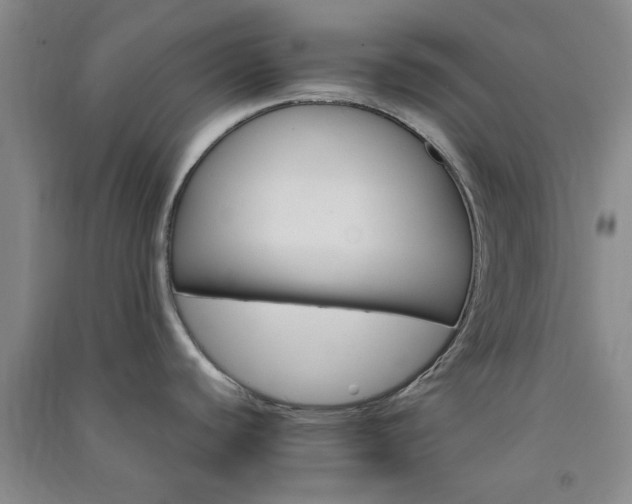 X0000091361440200708171515