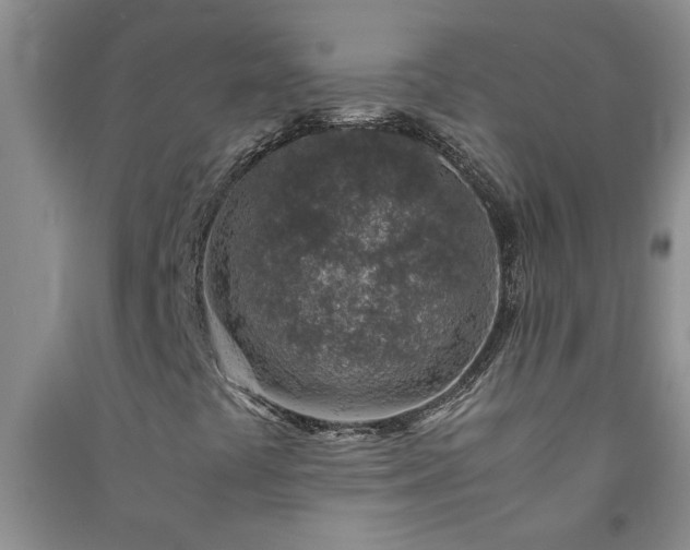 X0000091361441200708171514