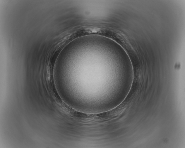 X0000091361442200708171514