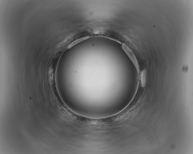 X0000091361443200708171514