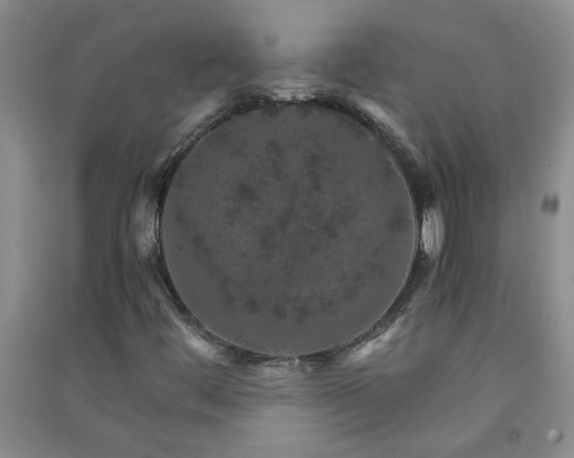 X0000091361444200708171514