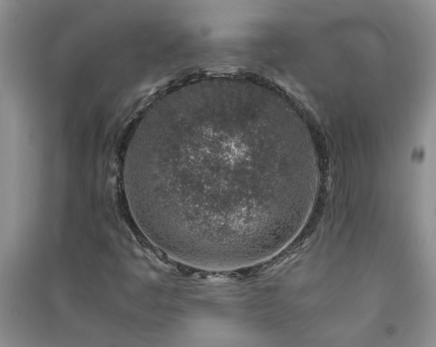 X0000091361445200708171514