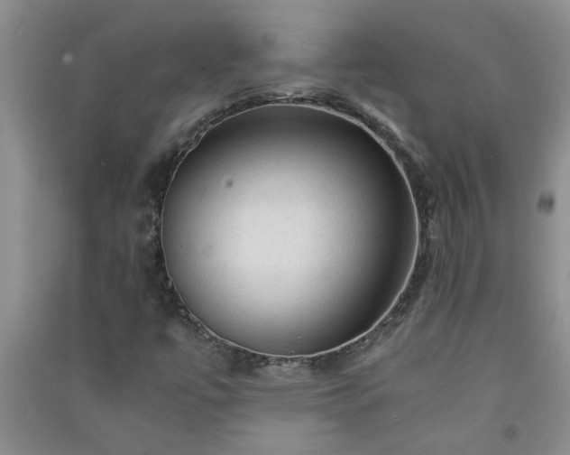 X0000091361447200708171514
