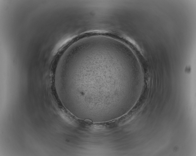 X0000091361448200708171514