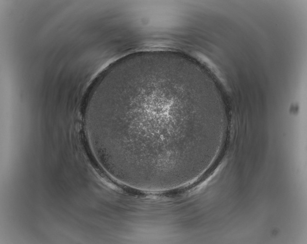 X0000091361449200708171514