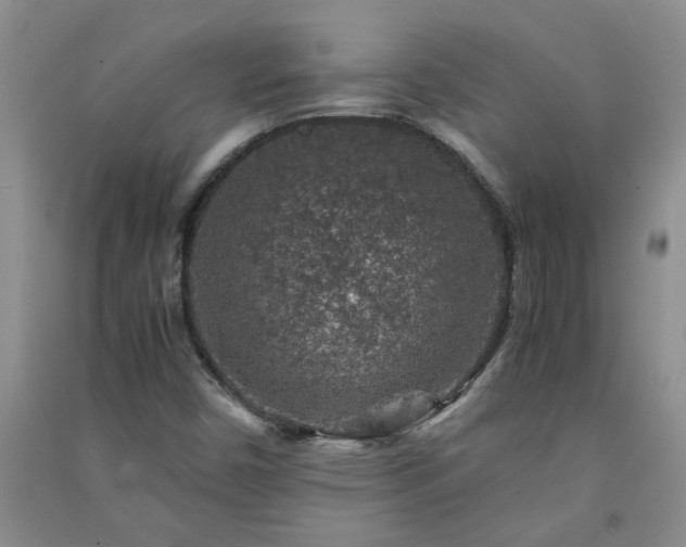 X0000091361450200708171514