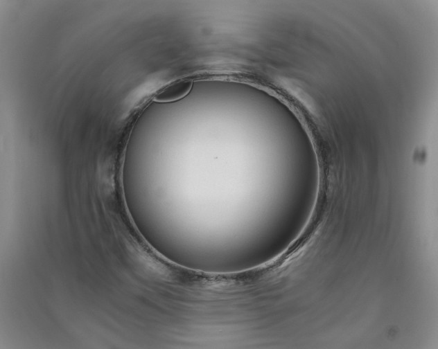 X0000091361451200708171514