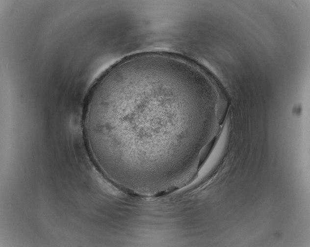 X0000091361452200708171514