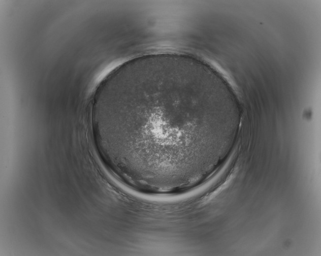 X0000091361453200708171514