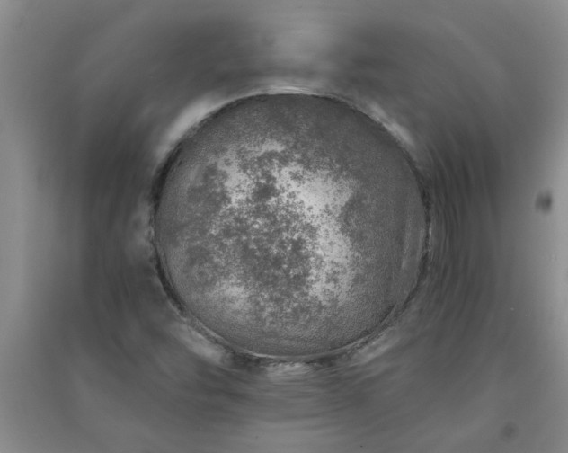 X0000091361454200708171514